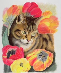 Csíkos és tulipános