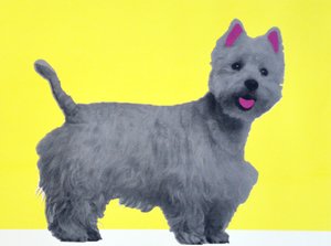 Bestie Westie, 2015 alkotó: Anne Storno