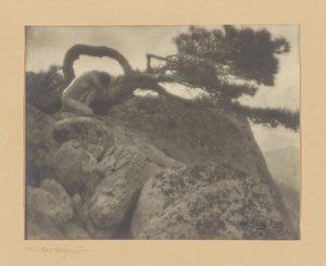 A magányos fenyő alkotó: Anne W. Brigman