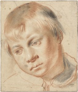 Tanulmány a fiú fejéről Tanulmány egy fiú fejéről alkotó: Annibale Carracci (attributed to)