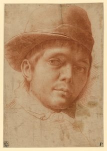 Fiatal férfi portréja sapkában alkotó: Annibale Carracci