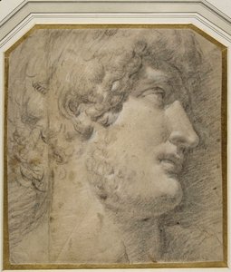 Gallienus császár (vagy ?Hadrianus) feje, az antik után (krémpapíron fekete kréta) alkotó: Annibale Carracci