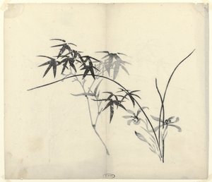 Bambusz és orchidea alkotó: Anonymous