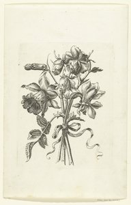 Három virág, köztük egy nárcisz és egy szegfű Novae Florum Icones (sorozat címe) alkotó: Anonymous