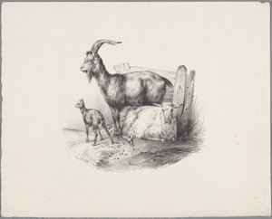 Egy kecske, egy kecske és egy bárány Six Little Animal Studies (sorozat címe) Six Little Beast Studies (sorozat címe a tárgyon) alkotó: Anonymous