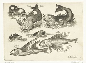 Fantasztikus vízi állatok, köztük delfin és pitfish Libelivs miscellaneous Genera piscium complectens (sorozat címe) Édesvízi halak, tengeri halak, békák, rákfélék és tengeri élőlények (sorozat címe) alkotó: Anonymous