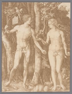 Albrecht Dürer Ádám és Éva metszetének fényképreprodukciója alkotó: Anonymous