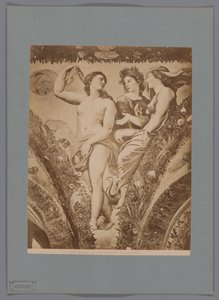 Az Amor en Psyche freskó fotóreprodukciója a Loggia di Psyche-ben, a Villa Farnesina Rómában Róma. Ámor és Psyche. Farnesina (cím a tárgyon) alkotó: Anonymous