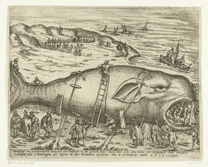 Elakadt Walvis Berckhey közelében, 1598 Warhafttigh And Wonderful Monster vagy Pottfisch bálna formájában, amelyből Möer feliszapolt Catwyck és Schevelingen között, mint Wyter az ercleret kapcsolatában 1598. február 4-én (cici alkotó: Anonymous