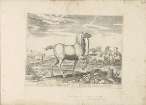 Kudde wilde paarden Gyermek lóverseny (cím a tárgyon) Paardenrassen uit de Koninklijke stallen van Don Juan van Oostenrijk (sorozat címe) Egy ló, amelyben mindenféle nemes: a világ különböző pontjairól választották, akiket a lovak viselkedése különböztet m alkotó: Anonymous