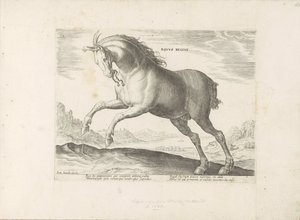 Paard van het ras Royal Horse (de Koninklijke) A királyi ló (cím a tárgyon) Paardenrassen uit de Koninklijke stallen van Don Juan van Oostenrijk (sorozat címe) Egy ló, amelyben mindenféle nemes: kitűnik a világ különböző részeiről származó lovak modora. alkotó: Anonymous