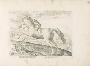 Renpaard találkozott Ruiterrel mór ló (cím a tárgyon) Paardenrassen uit de Koninklijke stallen van Don Juan van Oostenrijk (sorozat címe) A ló, amelyben mindenféle nemes: a világ legkülönbözőbb pontjairól megkülönböztetett lovak viselkedése válogatott (... alkotó: Anonymous