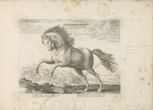 Vad ló Equus Liber et Incopositus (cím a tárgyon) A ló, amelyben mindenféle nemes: a világ legkülönbözőbb pontjairól megkülönböztetett lovak viselkedése válogatott (...) (sorozat címe tárgyon) alkotó: Anonymous