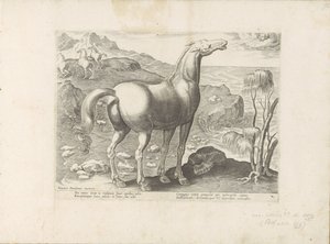 Zephyrus bevrucht een merrie Paardenrassen uit de Koninklijke stallen van Don Juan van Oostenrijk (sorozat címe) A ló, amelyben mindenféle nemes: a világ legkülönbözőbb pontjairól megkülönböztetett lovak viselkedése válogatott (...) (sorozat címe tárgyon) alkotó: Anonymous