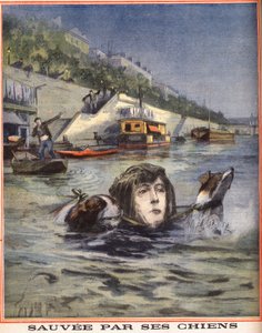A Szajnában eleső nőt kutyái mentik meg Párizsban. Metszet a „” Le petit parisien””-ben 1910.08.14. Magángyűjtemény. alkotó: Anonymous Anonymous