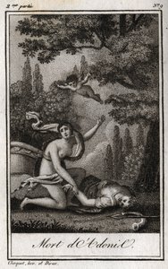 Adonis halála. Metszet 1819-ből Charles Albert Demoustier (1760-1801) „Lettres a Emilie sur la mythologie” című művében. Magángyűjtemény. alkotó: Anonymous Anonymous