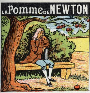 Gravitáció: Newton alma. Isaac Newton (1642-1727) megfigyeli, hogy egy alma leesik az almafáról, és felfedezi a föld gravitációjának (gravitáció) törvényeit. Névtelen illusztráció 1925-ből. Magángyűjtemény. alkotó: Anonymous Anonymous