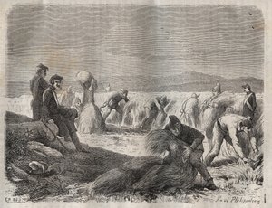 Begyűjtő erők a Belle-Ile-en-Mer börtönben (gyönyörű tengeri sziget) a 19. században. Pierre Zaccone (1817-1895) (Colonia Penale - Büntetőtelep) metszet az „Elítéltek története a megalkotásuktól napjainkig” című könyvébe (1877). Magángyűjtemény. alkotó: Anonymous Anonymous