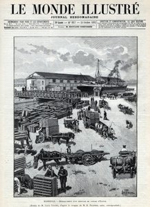 Tengeri kereskedelem: Egyiptomból érkező fürj ugatása Marseille kikötőjében. Egy újság. Metszet az 1892-es „Le monde illustree”-ben. Magángyűjtemény. alkotó: Anonymous Anonymous