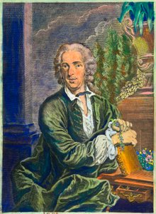 Carl Von Linne (1707-1778) svéd természettudós portréja - Privee Collection alkotó: Anonymous Anonymous