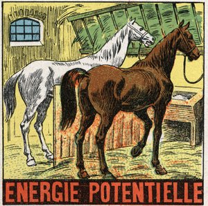 Potenciális energia: lovak istállóban pihennek. Névtelen illusztráció 1925-ből. Magángyűjtemény. alkotó: Anonymous Anonymous