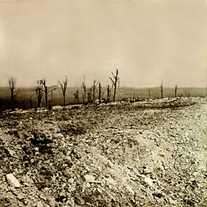 Sztereoszkópikus üveglap az első világháborúról (1., Iere alkotó: Anonymous Anonymous