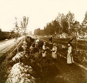 Sztereoszkópikus üveglap az első világháborúról (1., Iere alkotó: Anonymous Anonymous