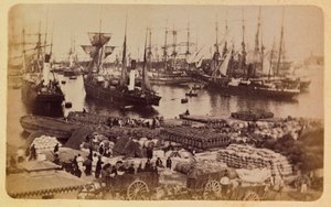 Marseille városa és környéke 1885-1890 körül: Bassin de la Joliette, macskák rakománybeszállása, Magángyűjtemény alkotó: Anonymous Anonymous