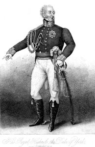 Ő Királyi Fensége, York hercege, XIX.