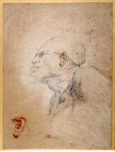 Férfi fej bekötözve, bal füle külön begyakorolt (fekete és piros kréta papíron) alkotó: Anthony van Dyck