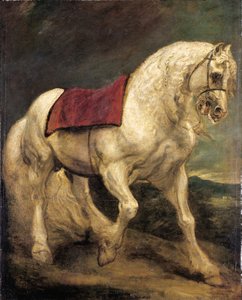 Kantáros szürke mén, nyeregruhával és részben fonott sörénnyel: modello alkotó: Anthony van Dyck
