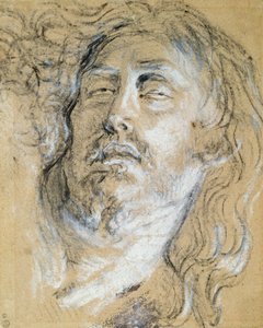 A halott Krisztus feje (faszén és kréta papíron) alkotó: Anthony van Dyck