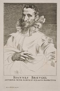 Jan Brueghel az idősebb portréja alkotó: Anthony van Dyck