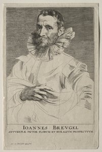 Jan Brueghel portréja. alkotó: Anthony van Dyck