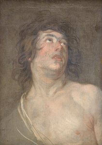 Felfelé néző fiatal férfi tanulmányvezetője. Szent Sebestyén alkotó: Anthony van Dyck