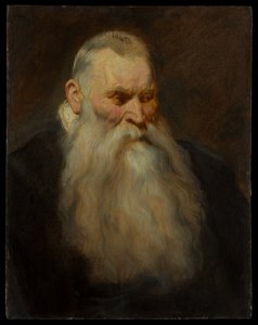 Fehér szakállú öregember fejtanulmánya alkotó: Anthony van Dyck