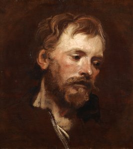 Egy fiatal szakállas férfi tanulmánya alkotó: Anthony van Dyck