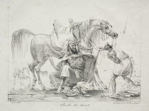 A sivatag arabja