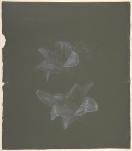 Virágos Design