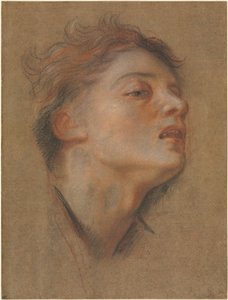 Egy fiatalember feje, 1715-1717. alkotó: Antoine Coypel