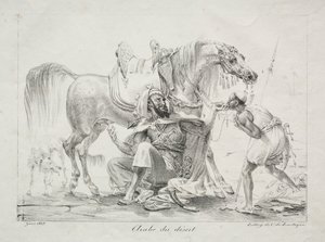 Araber der Wüste, 1817 von Antoine Jean Gros