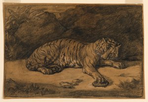 Egy tigris és egy teknős alkotó: Antoine Louis Barye