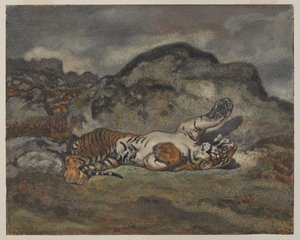 Guruló tigris, 1840 körül (wc papíron) alkotó: Antoine Louis Barye