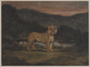 Álló oroszlán (wc papíron) alkotó: Antoine Louis Barye