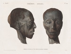 Egyiptom leírása: Egyiptom: Théba. Hypogees Vol. II, Pl. 49 alkotó: Antoine Maxime Monsaldy