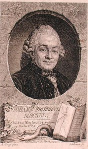 Johann Friedrich Meckel (1724-76) portréja John Schleuen (fl.1740-74) metszetében (metszet) alkotó: Anton (after) Graff