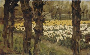 Tulipán mezők alkotó: Anton L. Koster