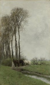 Lovak a kapuban alkotó: Anton Mauve
