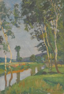 Szlovén: Nyírfák a vízparton