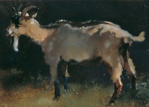 Kecske